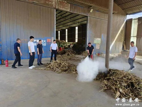 秦安獸藥飼料經(jīng)營及牧草加工企業(yè)安全生產(chǎn)督查紀(jì)實(shí)