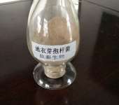 河南畜牧水產(chǎn)動物營養(yǎng)優(yōu)化 飼料添加劑與飼料銷售的戰(zhàn)略整合